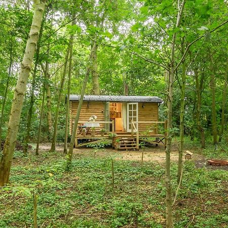 Woodland Retreat Shepherds Hut Villa Brundish Eksteriør bilde