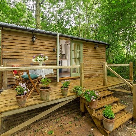 Woodland Retreat Shepherds Hut Villa Brundish Eksteriør bilde